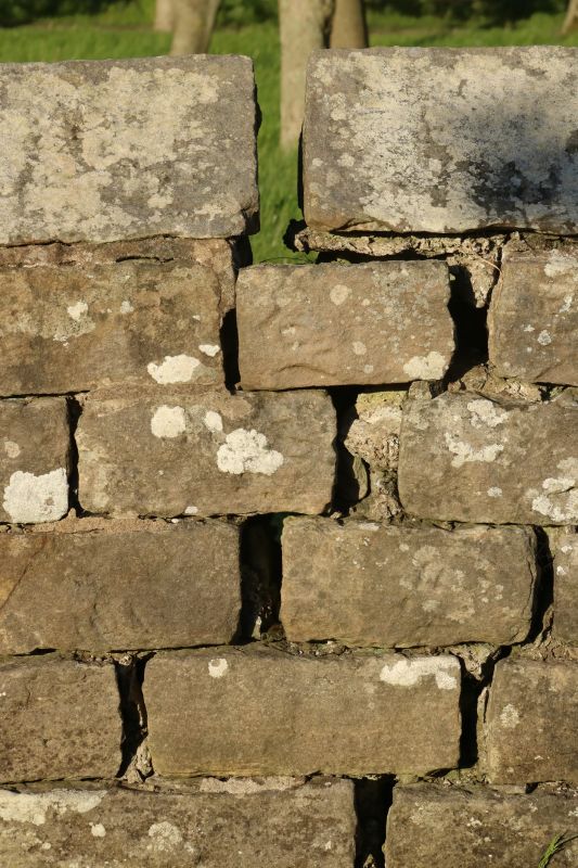 Stone Wall Repair in Cobb County, GA